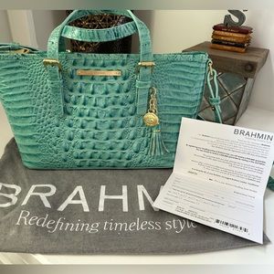 Brahmin Mini Asher Glass Glossy Melbourne Leather Crossbody Satchel